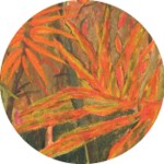 Veracruz, (detalle), óleo sobre lienzo, 160 x 150, 2006