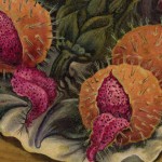 Manuel González Serrano, Frutas preludiando amor, (bodegón con alcachofas y pitayas), (detalle), óleo sobre masonite, ca. 1944.